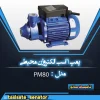 پمپ ۱ اسب الکتروژن محیطی pm80