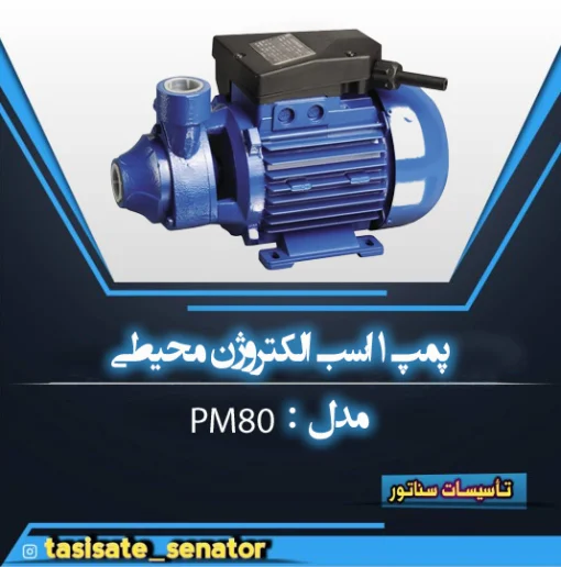 پمپ ۱ اسب الکتروژن محیطی pm80